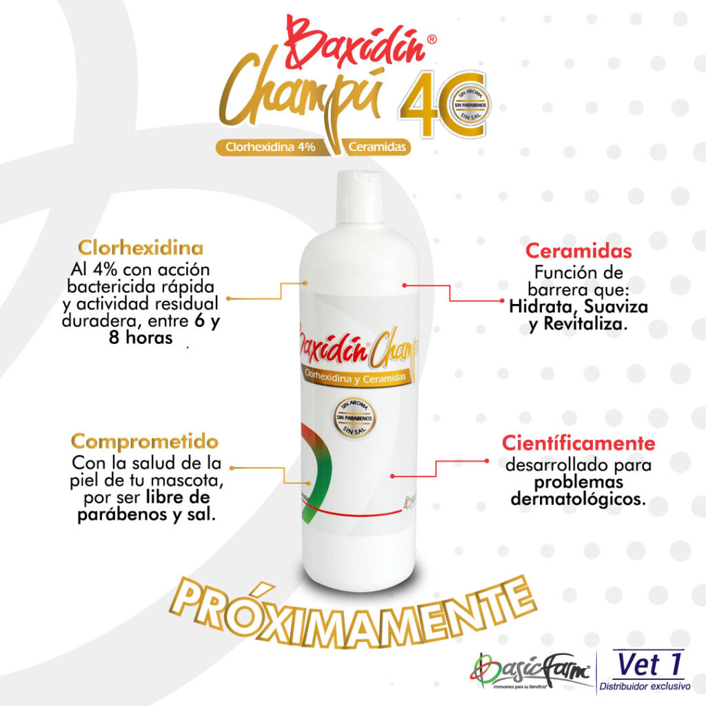 baxidin-champu-(expectativa)-04