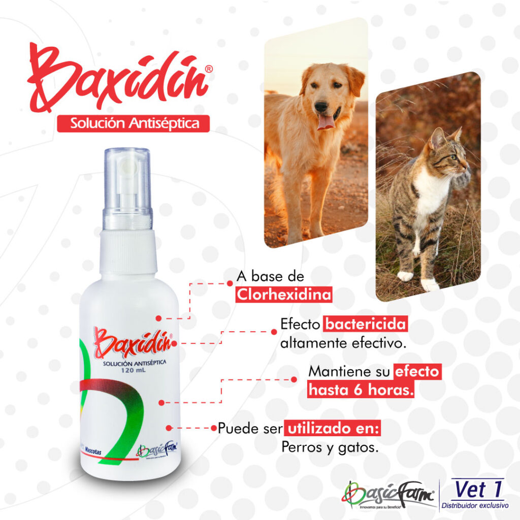 baxidin-solución-4-domesticos